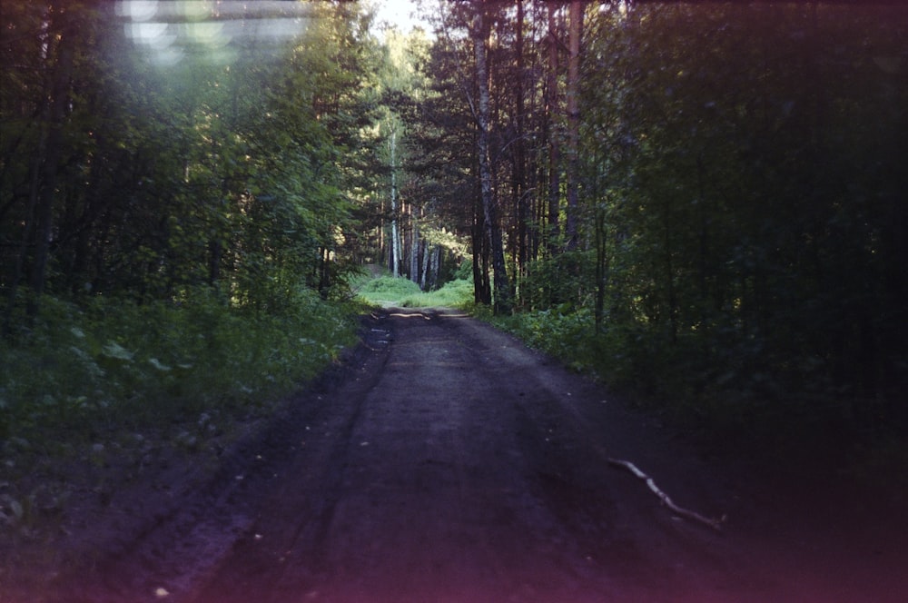 Ein Feldweg mitten im Wald