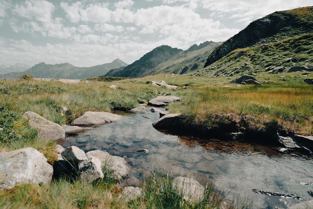 a stream running through a lush green hillside