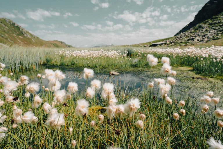 New Review Finds Mindfulness Lifts Well-Being Across the Board