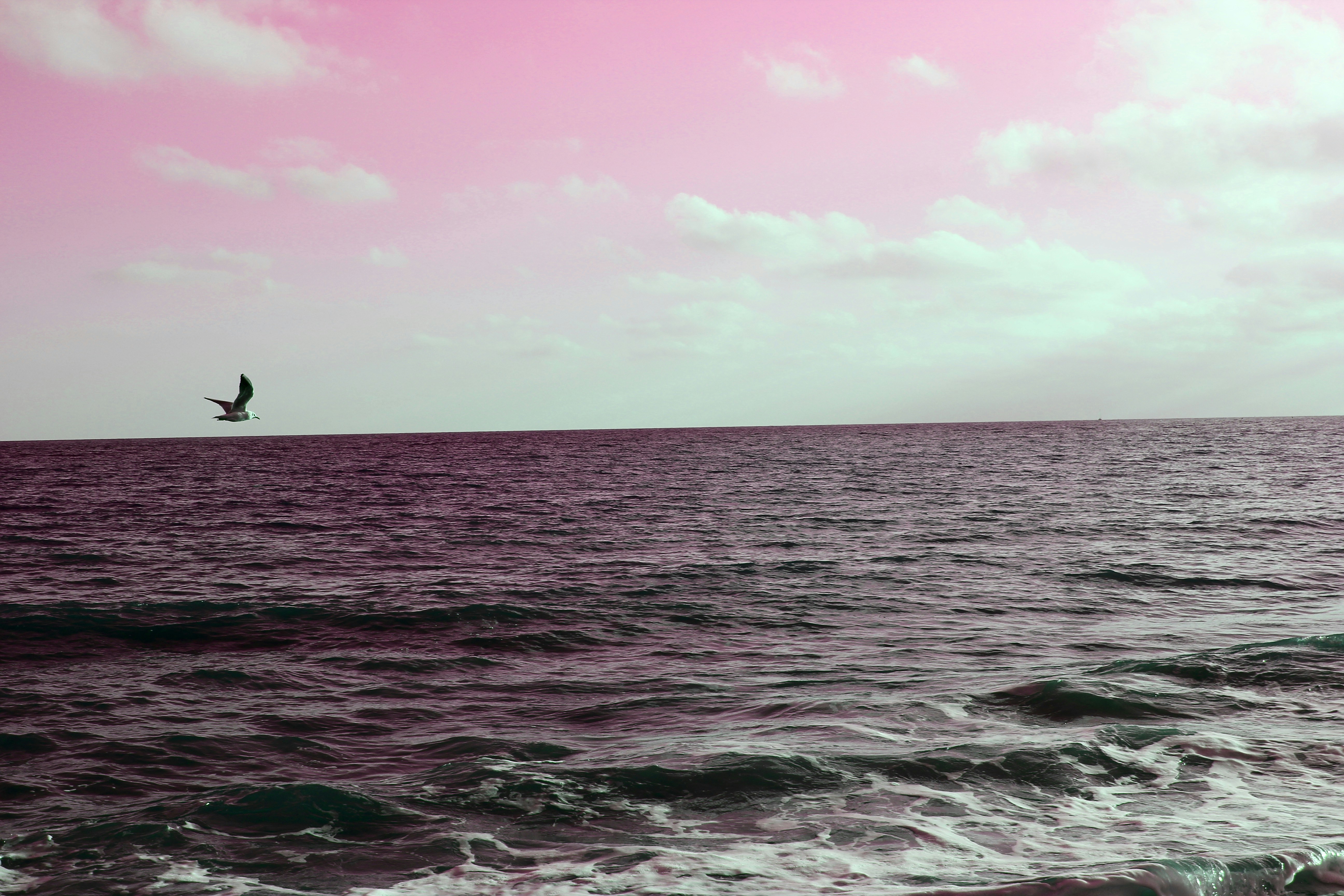 Photo by taketwentysix