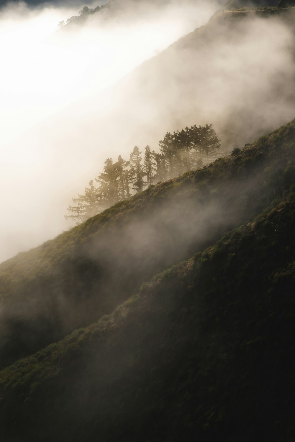 a hill covered in fog with trees on top of it