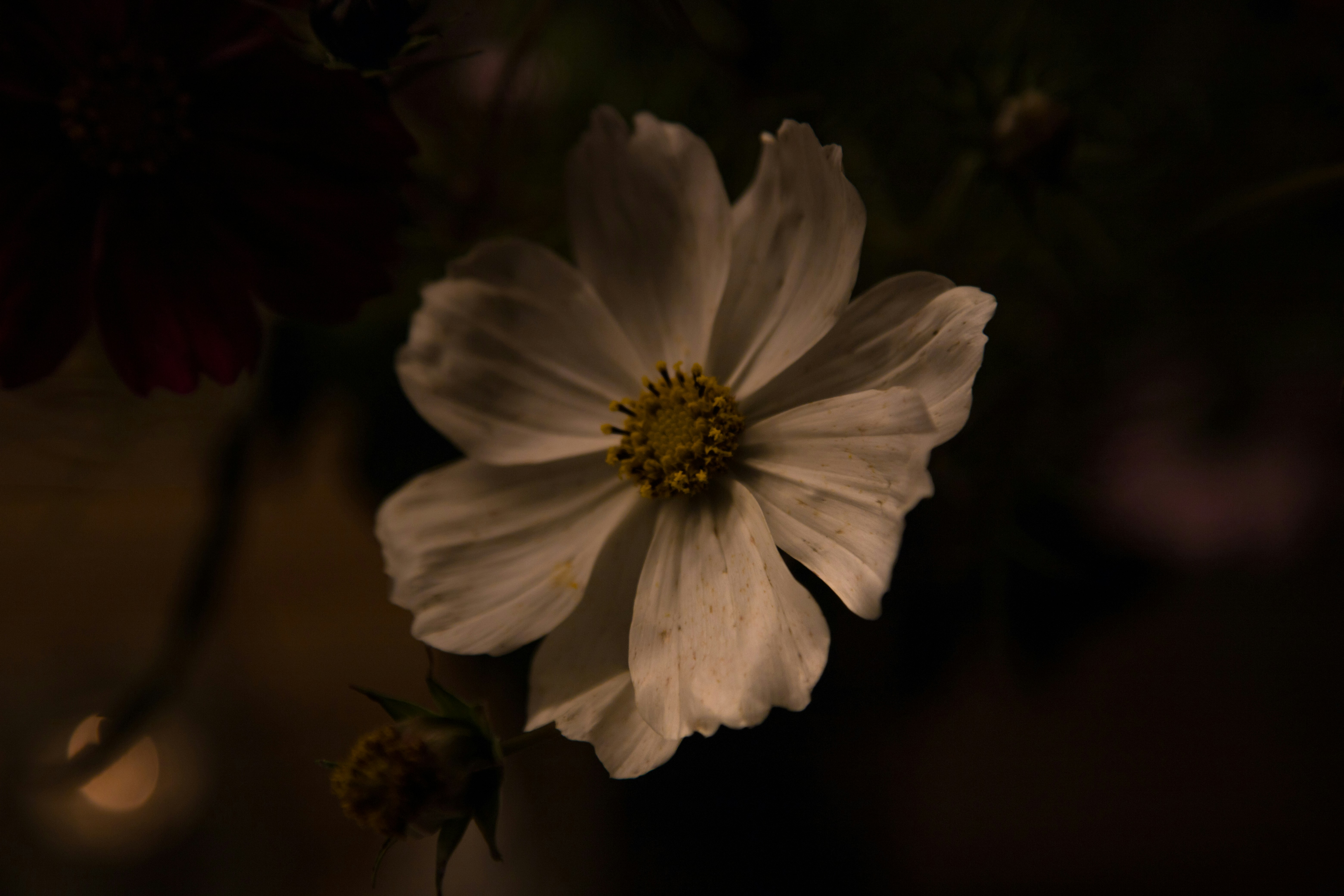Photo by hdbernd