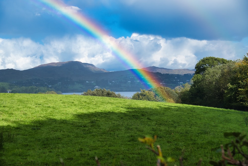 a rainbow in the sky over a lush green field