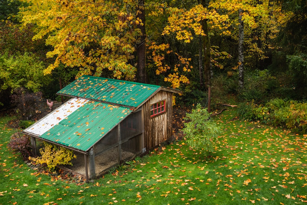 a shed with a green roof surrounded by trees