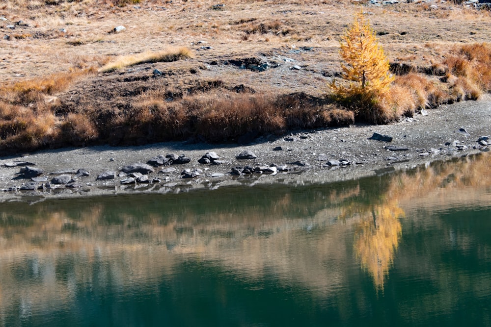 a body of water sitting next to a dry grass covered hillside