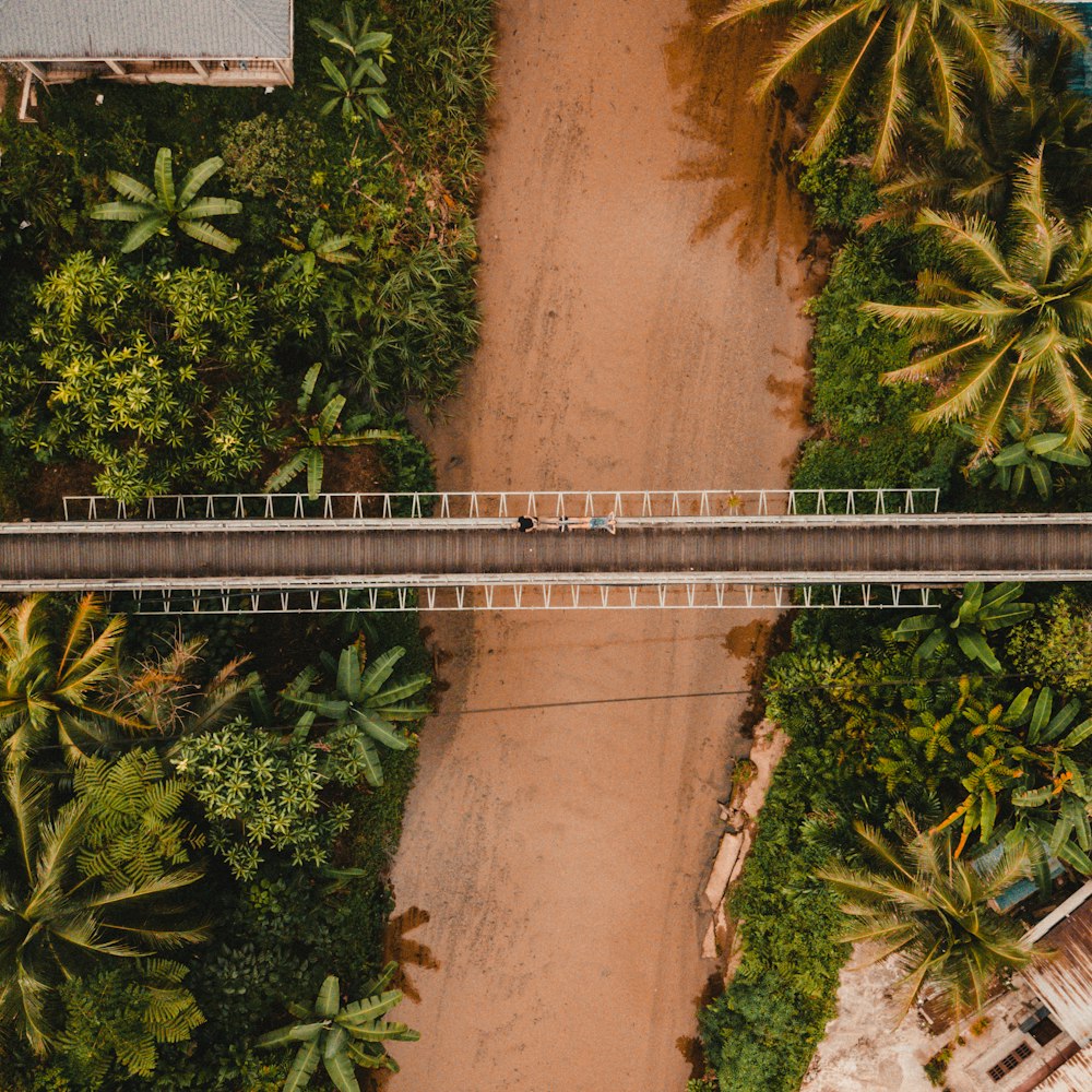 a couple of people walking across a bridge over a river