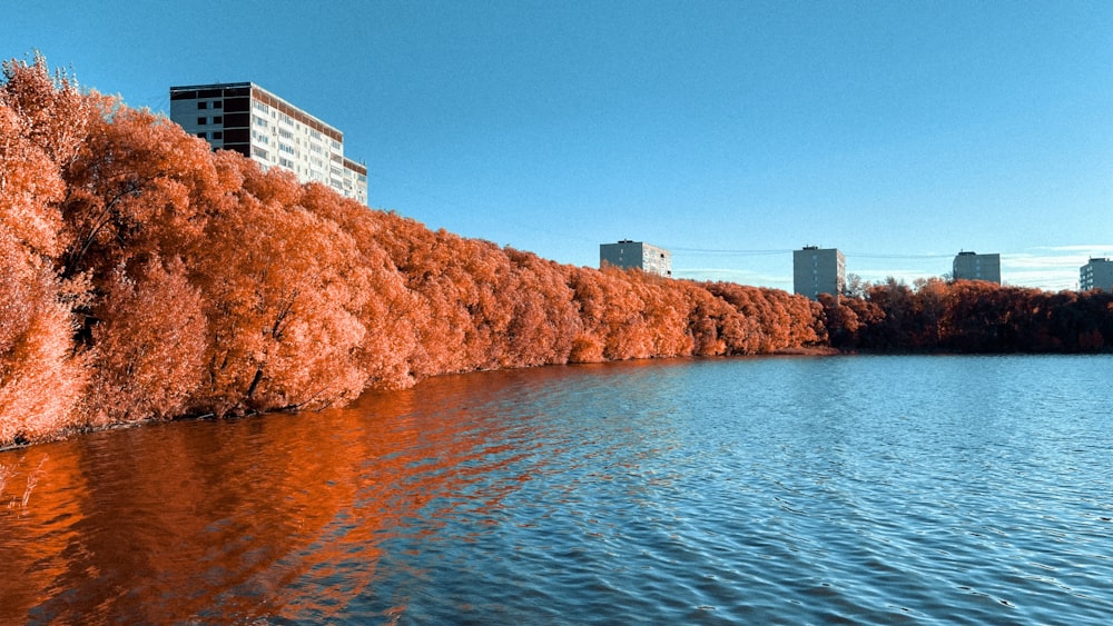 a body of water surrounded by tall buildings