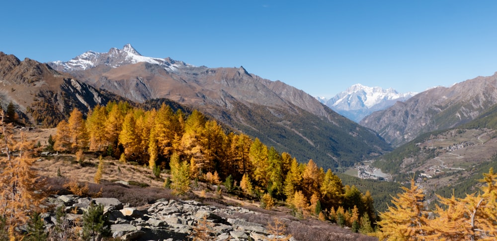 a view of a mountain range with trees in the foreground