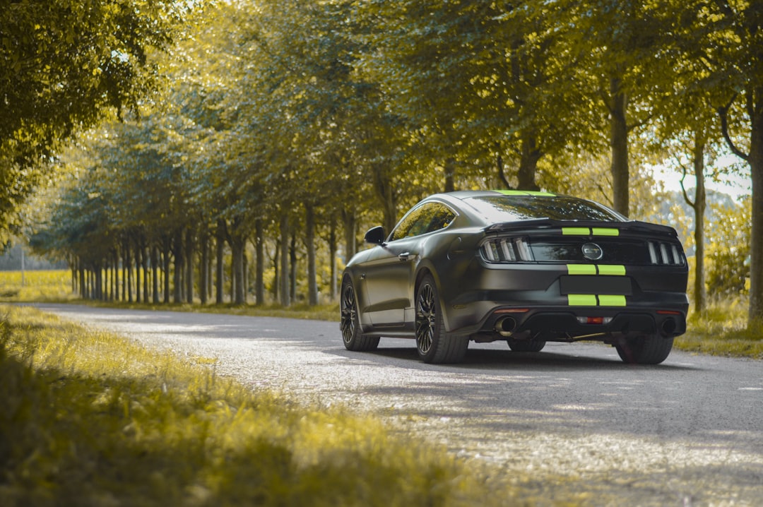 a car driving down a tree lined road,