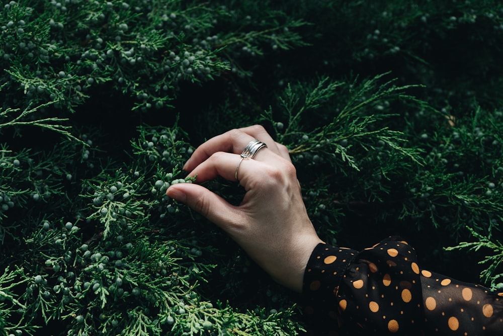 a person's hand reaching for a ring on a plant