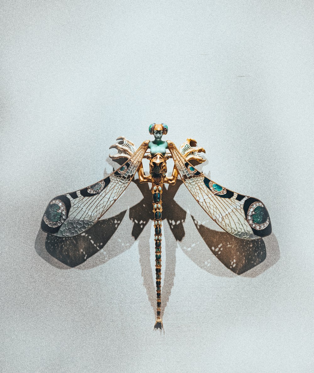 a close up of a dragonfly on a white background