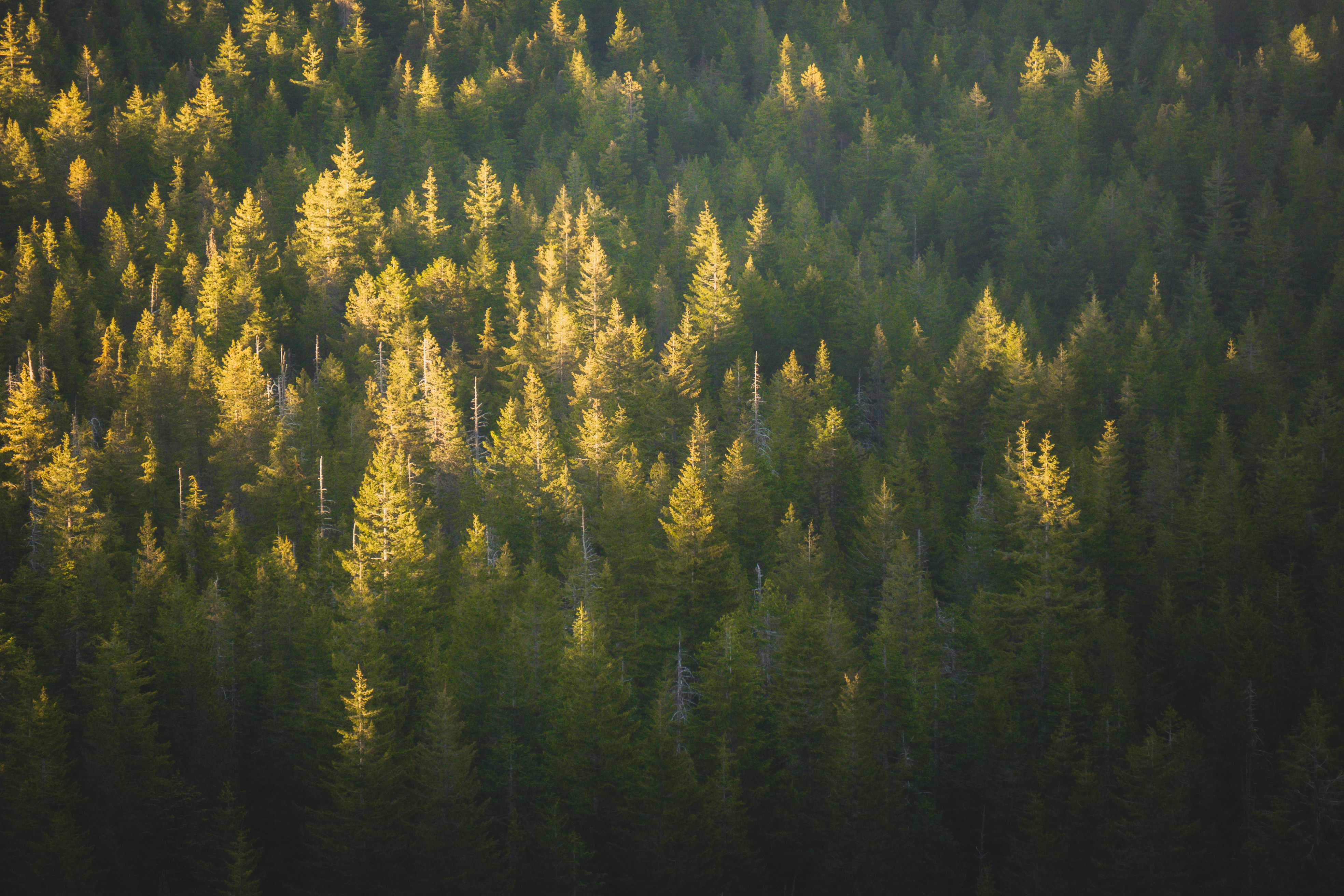 Photo by pics_by_harry