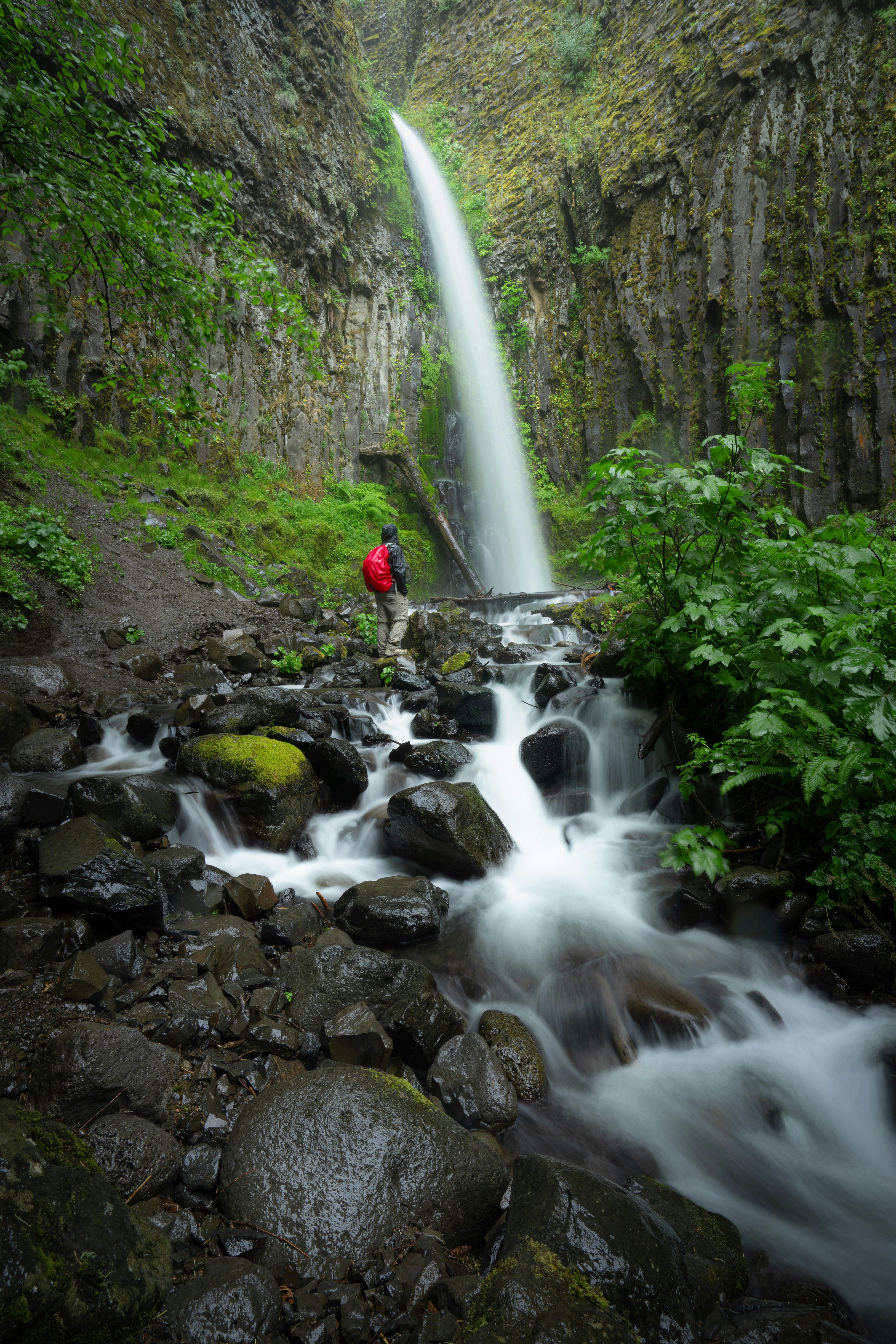 Photo by pics_by_harry