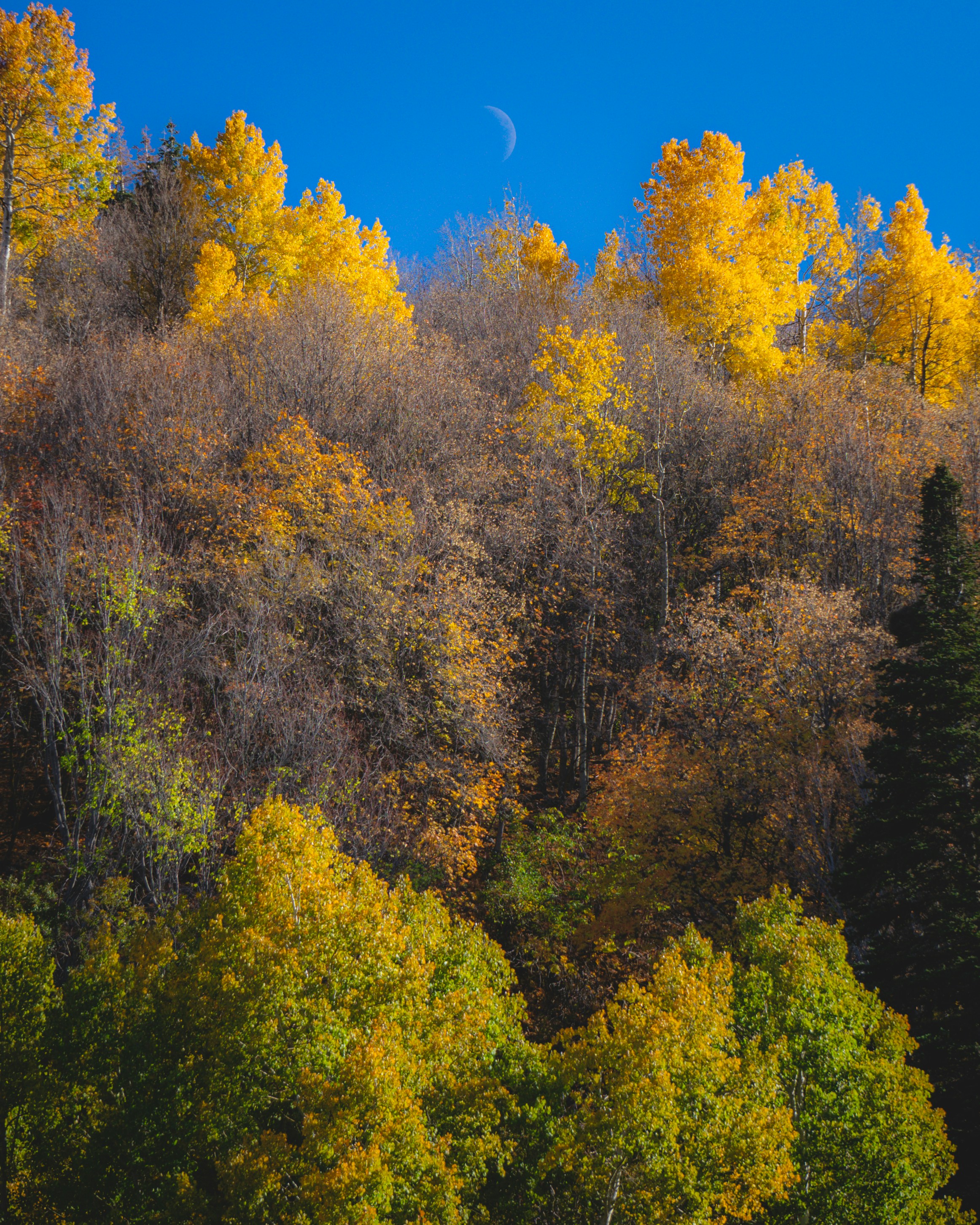 Photo by pics_by_harry