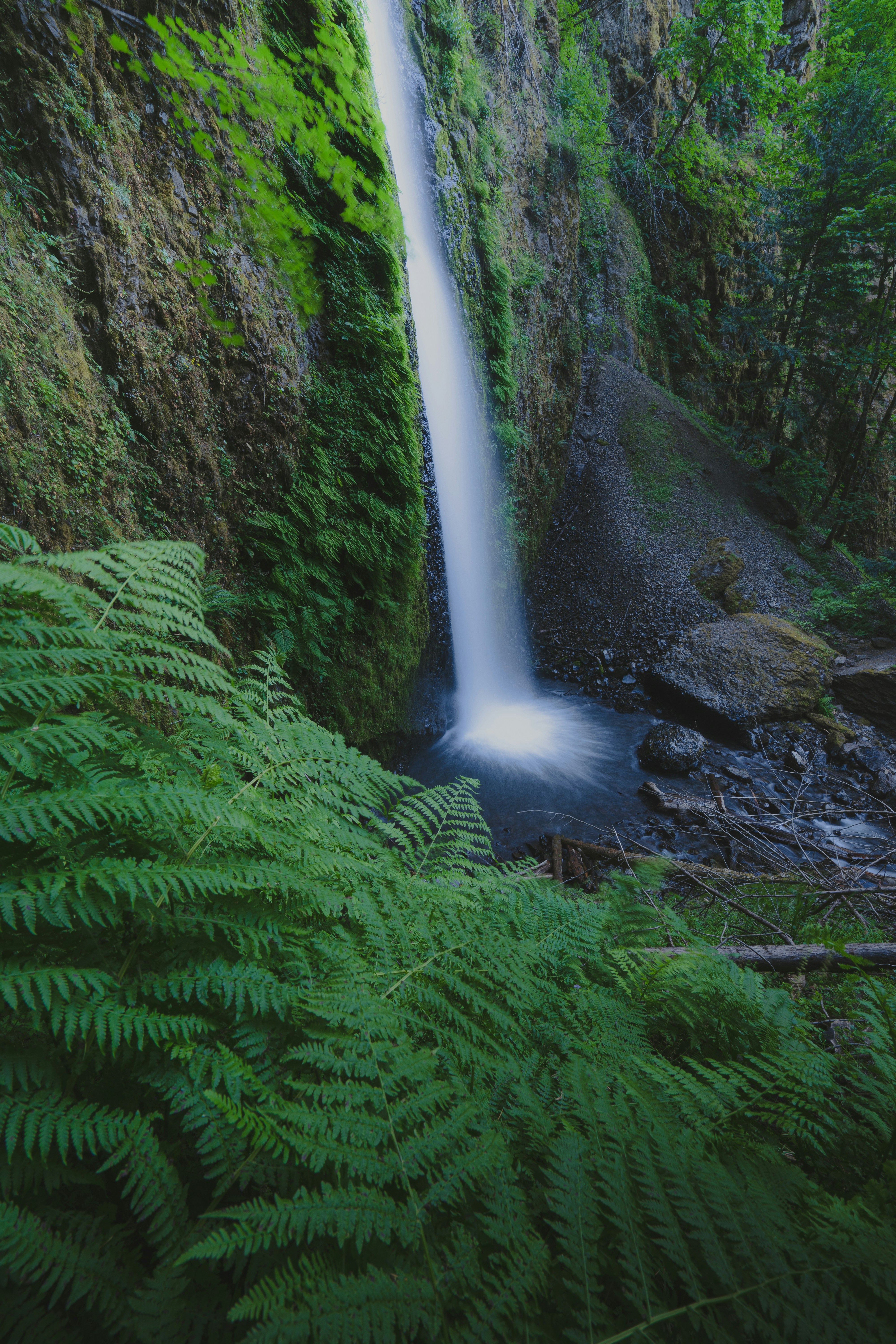 Photo by pics_by_harry