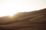 A sun-drenched family picnic with children playing under warm light amidst soft sand dunes.