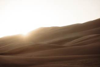 A serene desert landscape at sunrise with soft golden light illuminating gentle sand dunes.