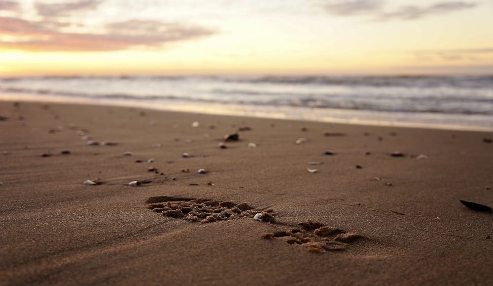 footprints in the sand of a beach at sunset