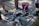 A group of diverse people happily sorting recyclable materials together.