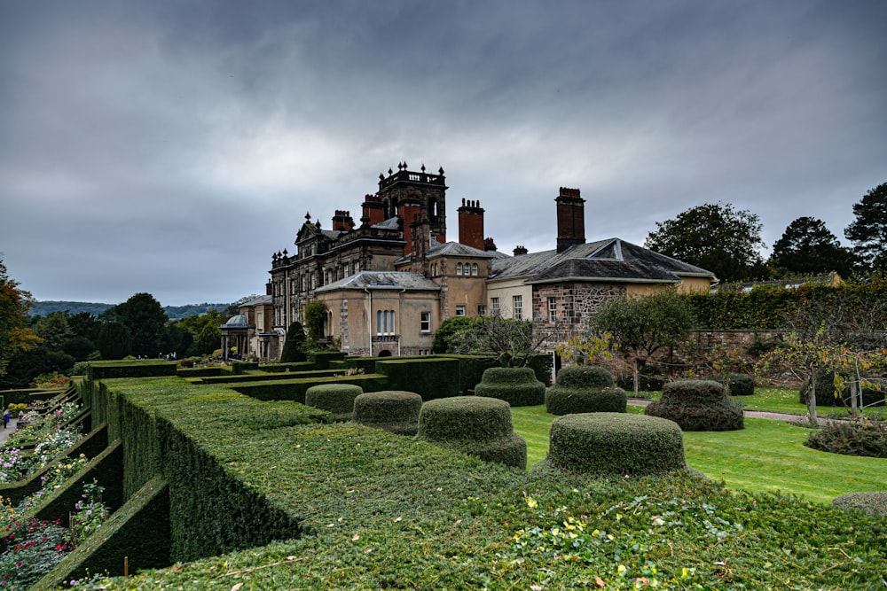 a large building with a very long hedge in front of it