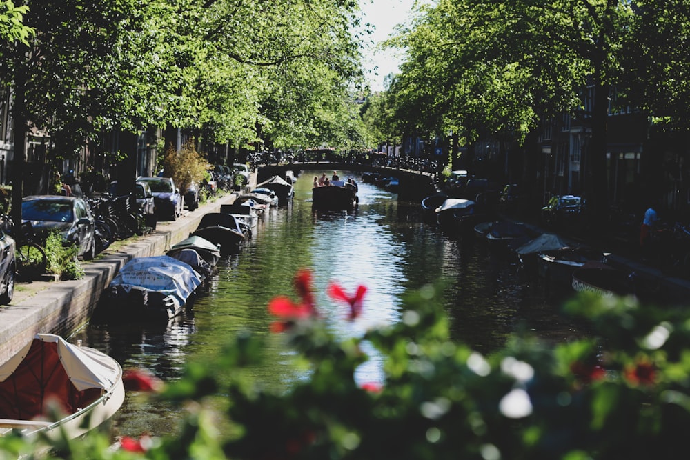 a canal filled with lots of boats next to trees