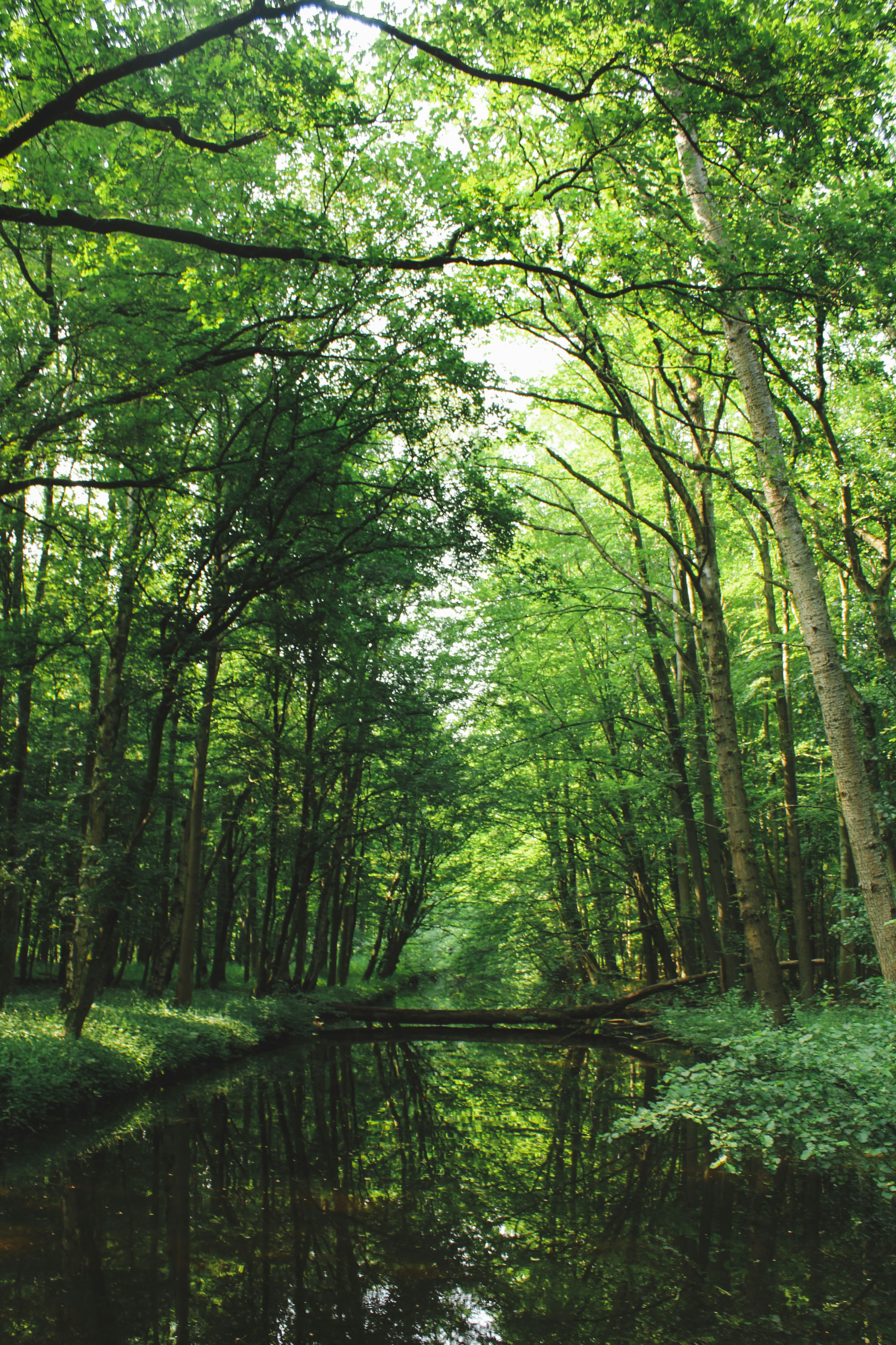 Photo by ggfotografie