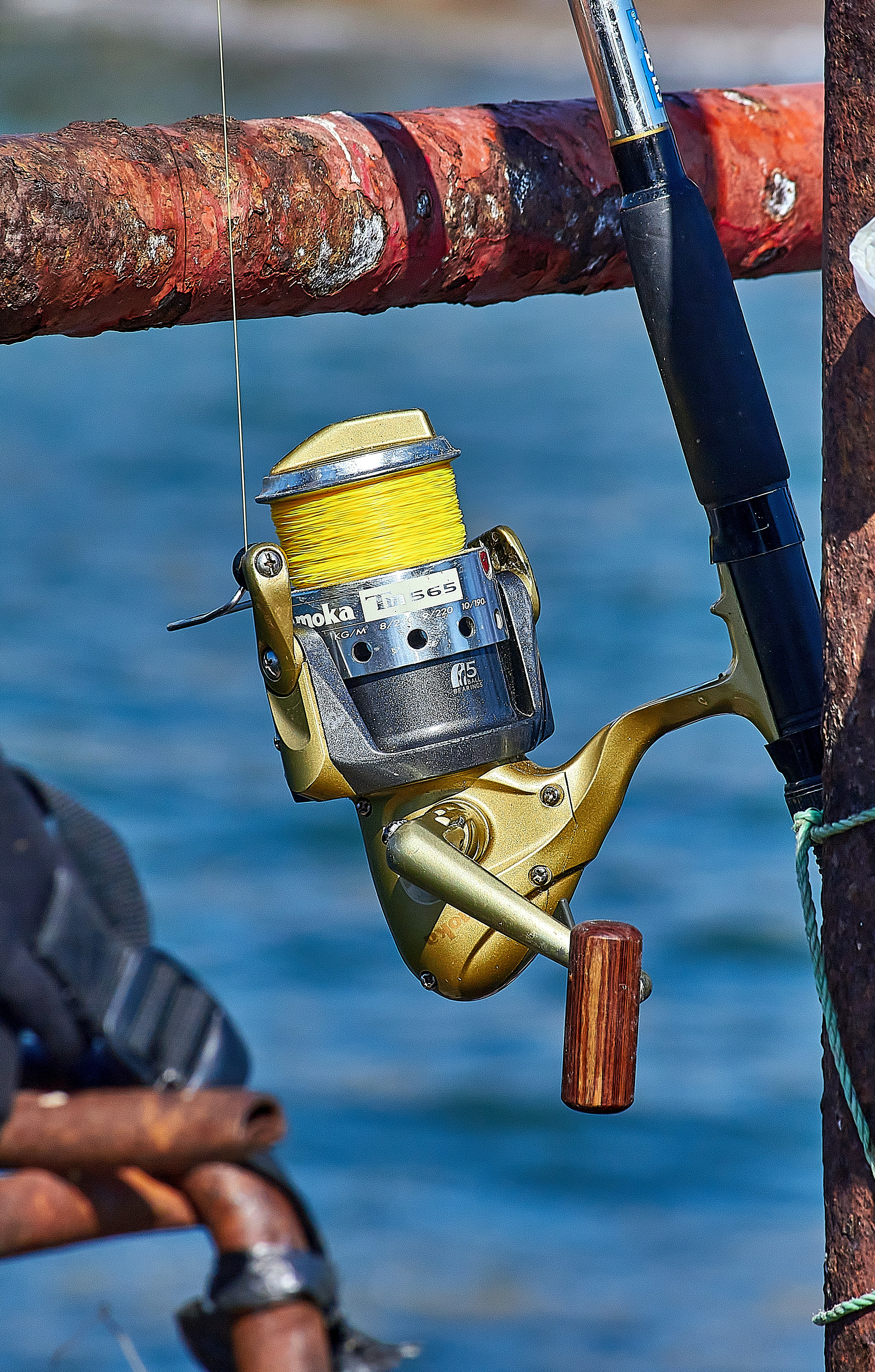 Vintage Fishing Reel