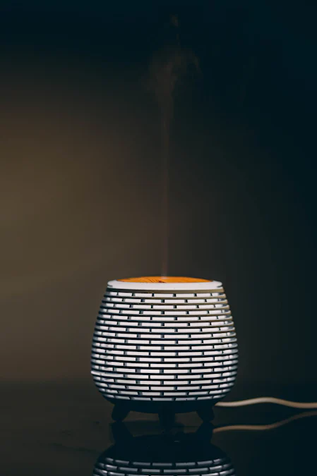 Choosing the Right Mosquito Killer Lamp for Indoor and Outdoor Use
