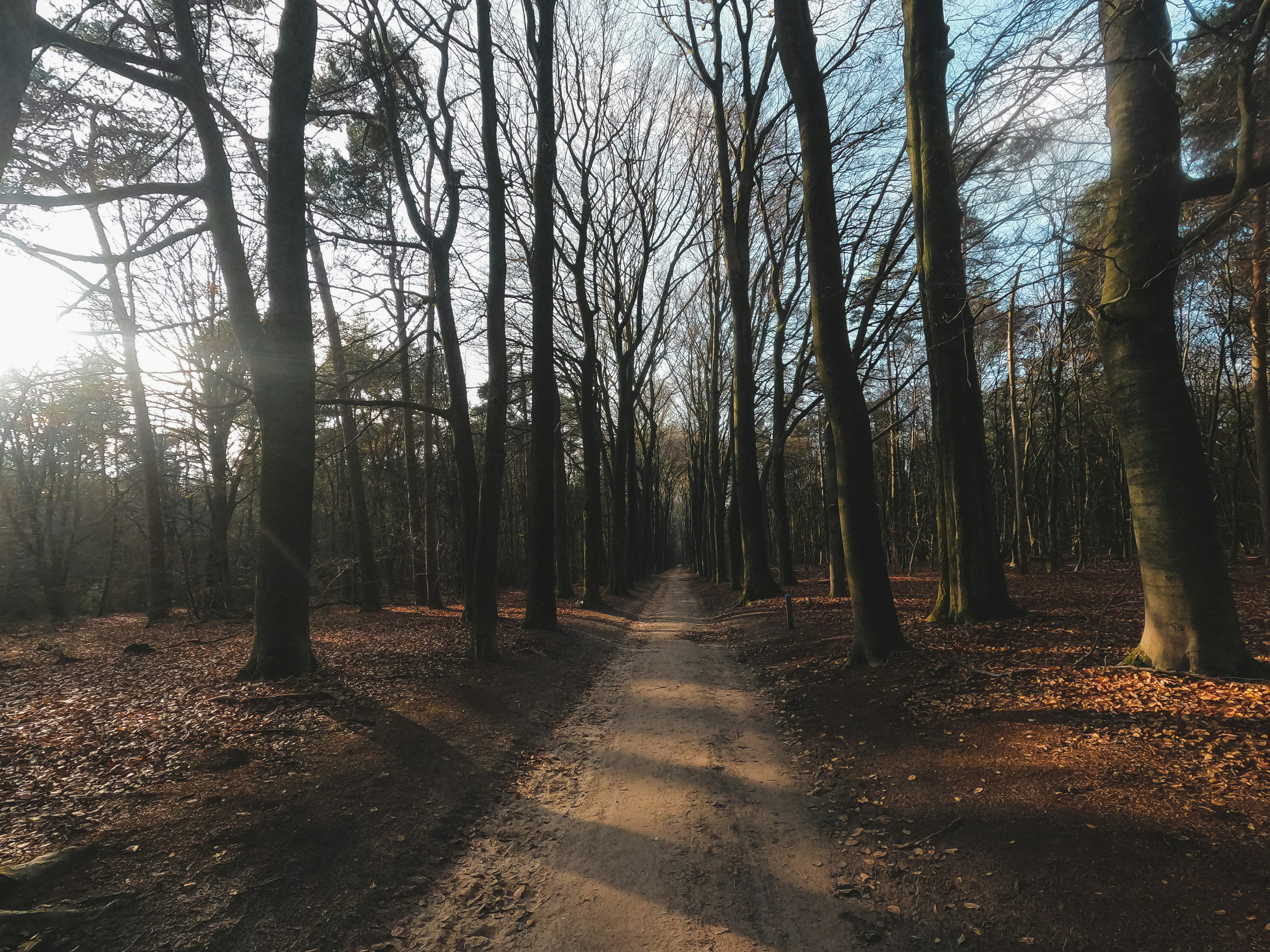 Photo by ggfotografie