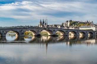 a bridge over a body of water with buildings in the background