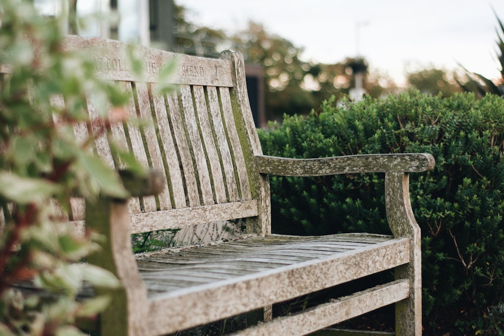 a wooden bench sitting next to a bush
