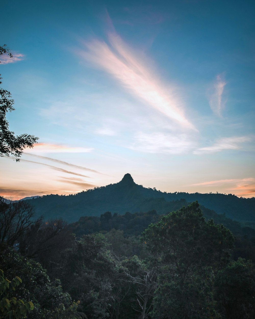 a view of a mountain with trees in the foreground