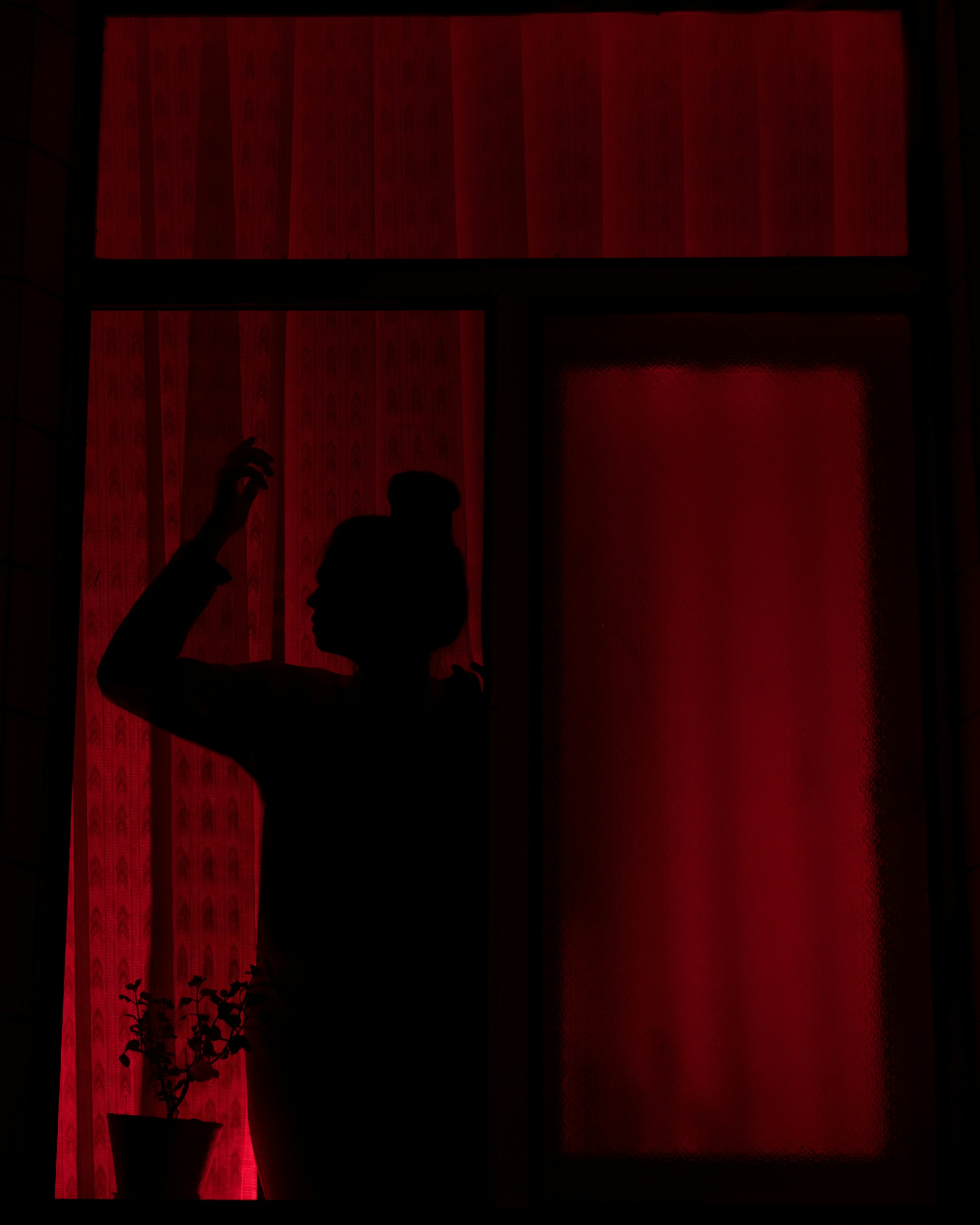 Photo by alikarimibn