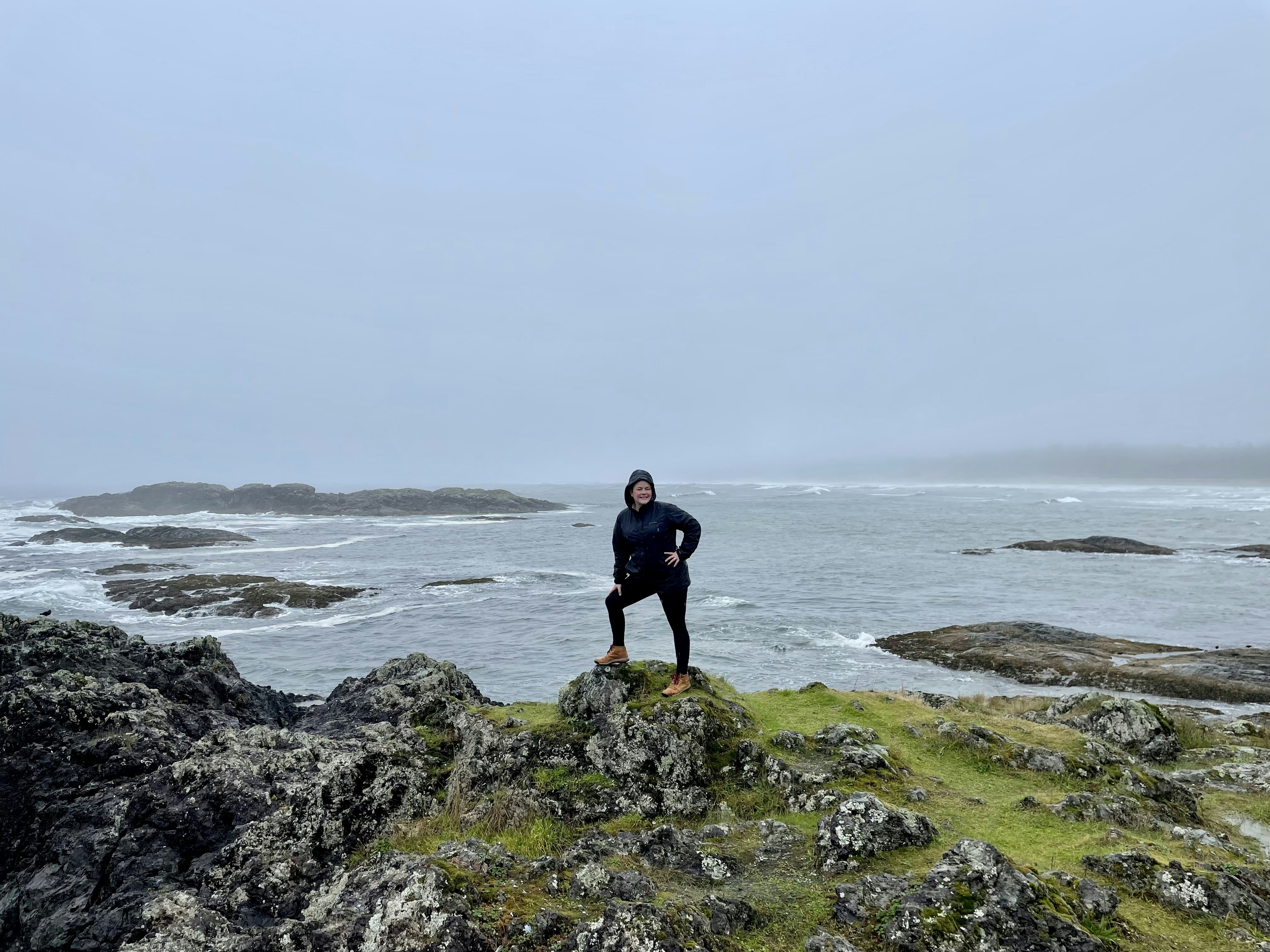 Unsplashで見つけるパシフィック リム国立公園保護区の無料写真