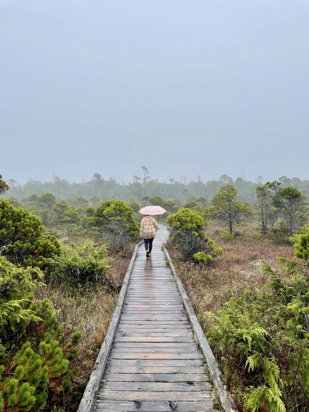 a person walking down a wooden walkway holding an umbrella