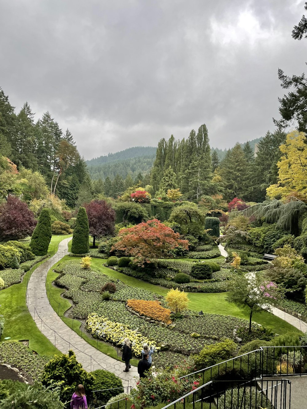 Una vista de un jardín con un camino sinuoso