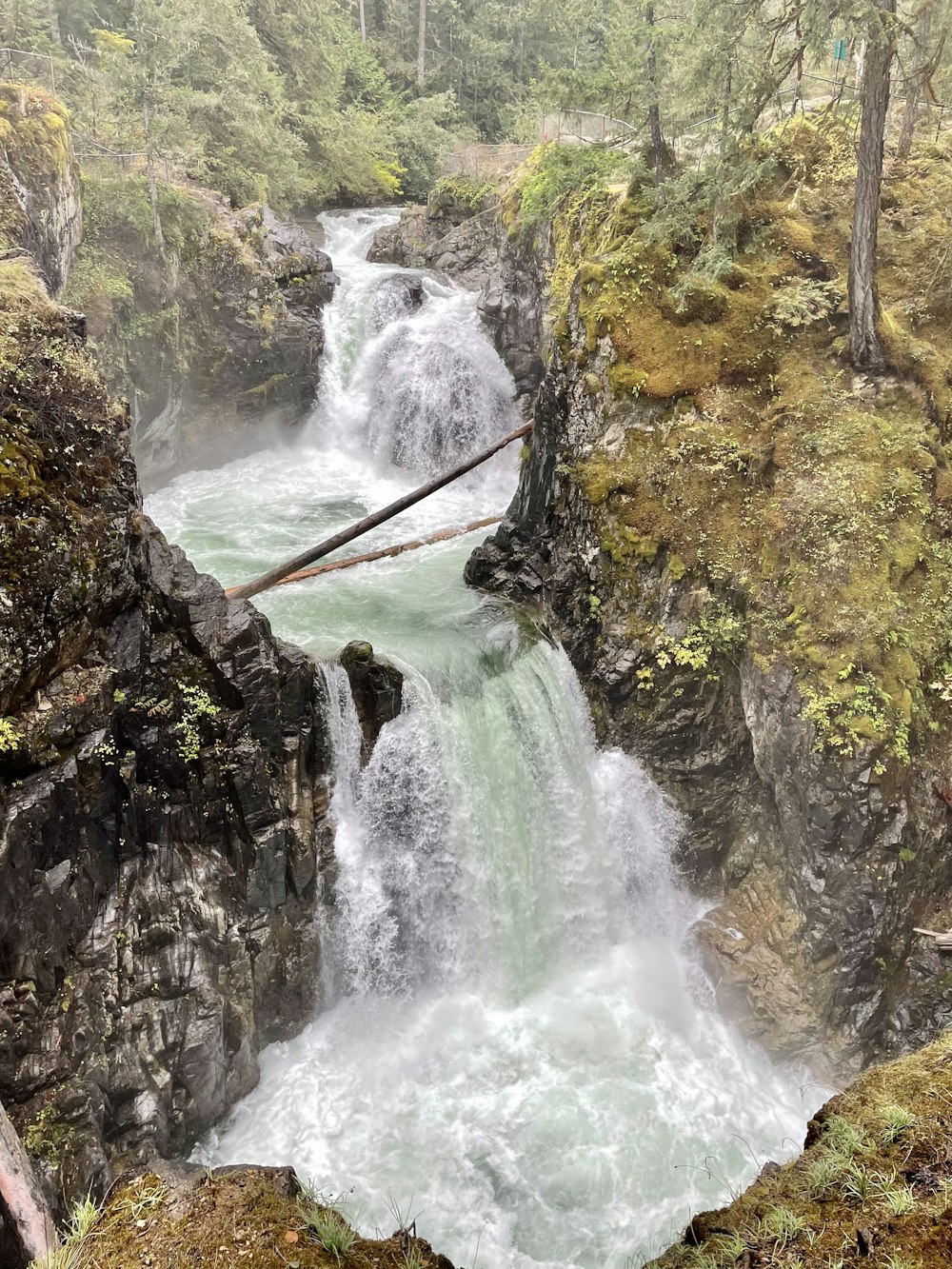 a waterfall in the middle of a forest