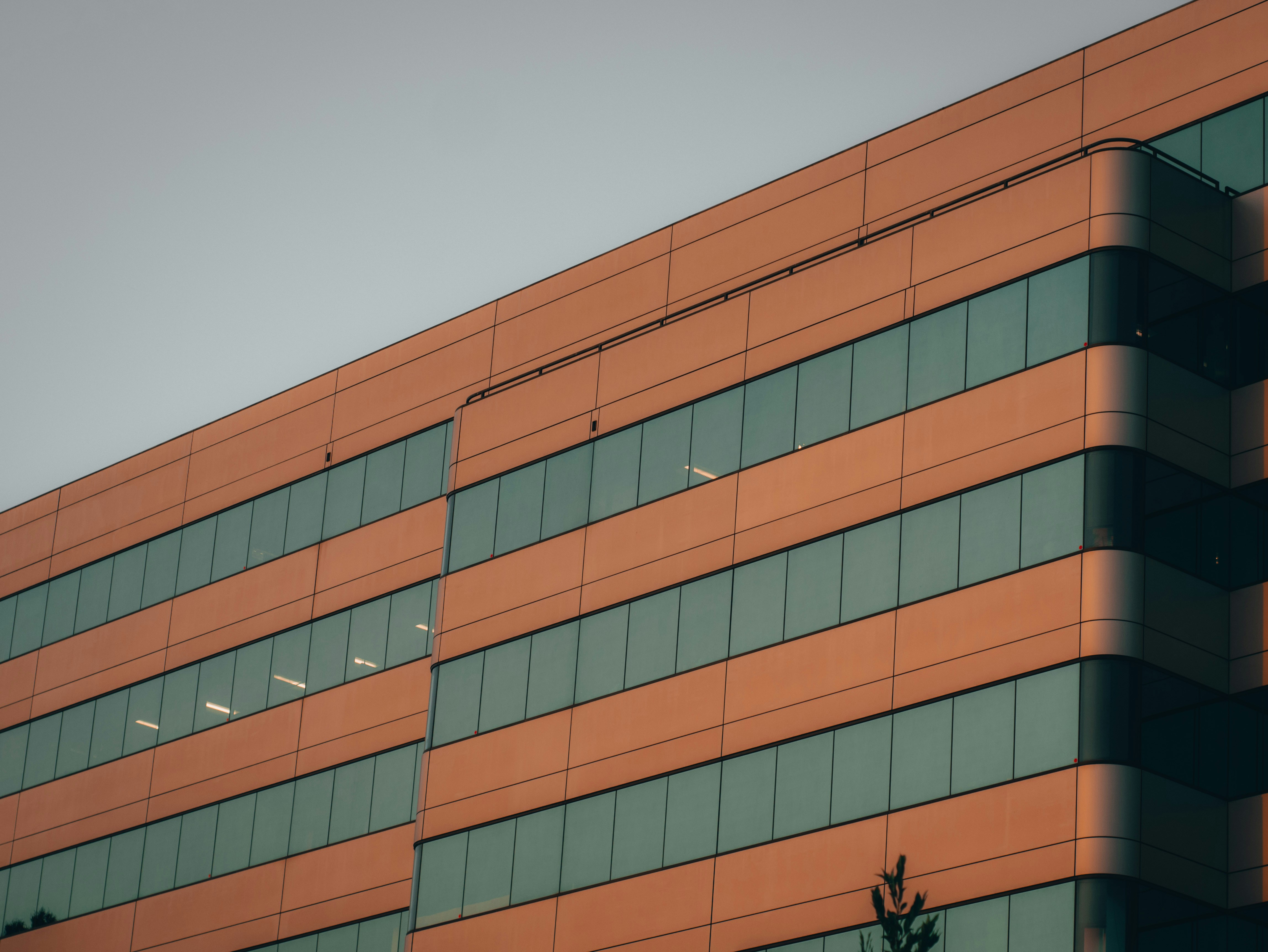 Photo by kingkonggeorge