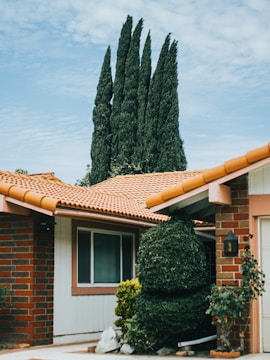A cozy suburban home with a well-maintained garden under a clear sky.