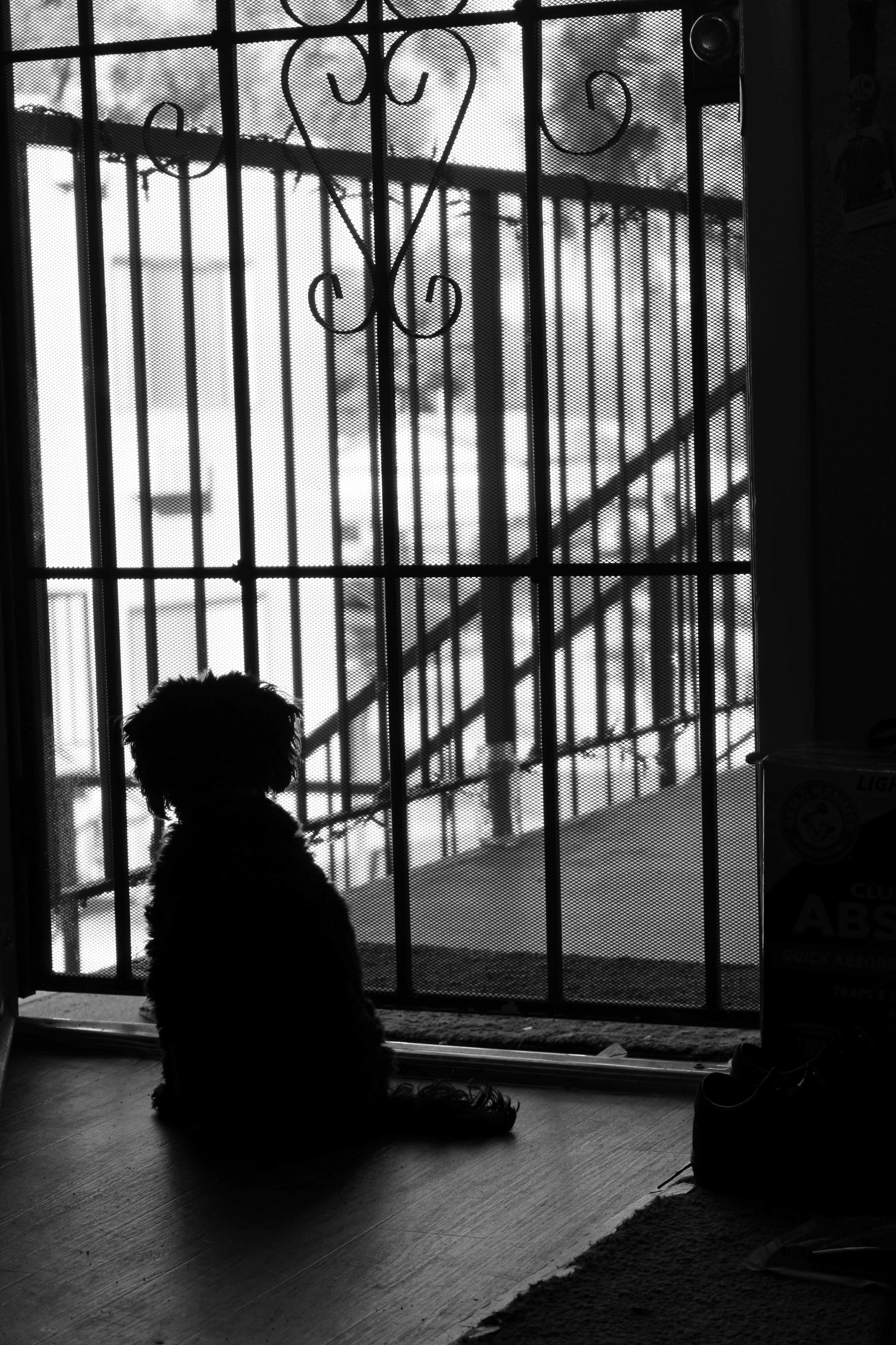 Photo by nickywholock