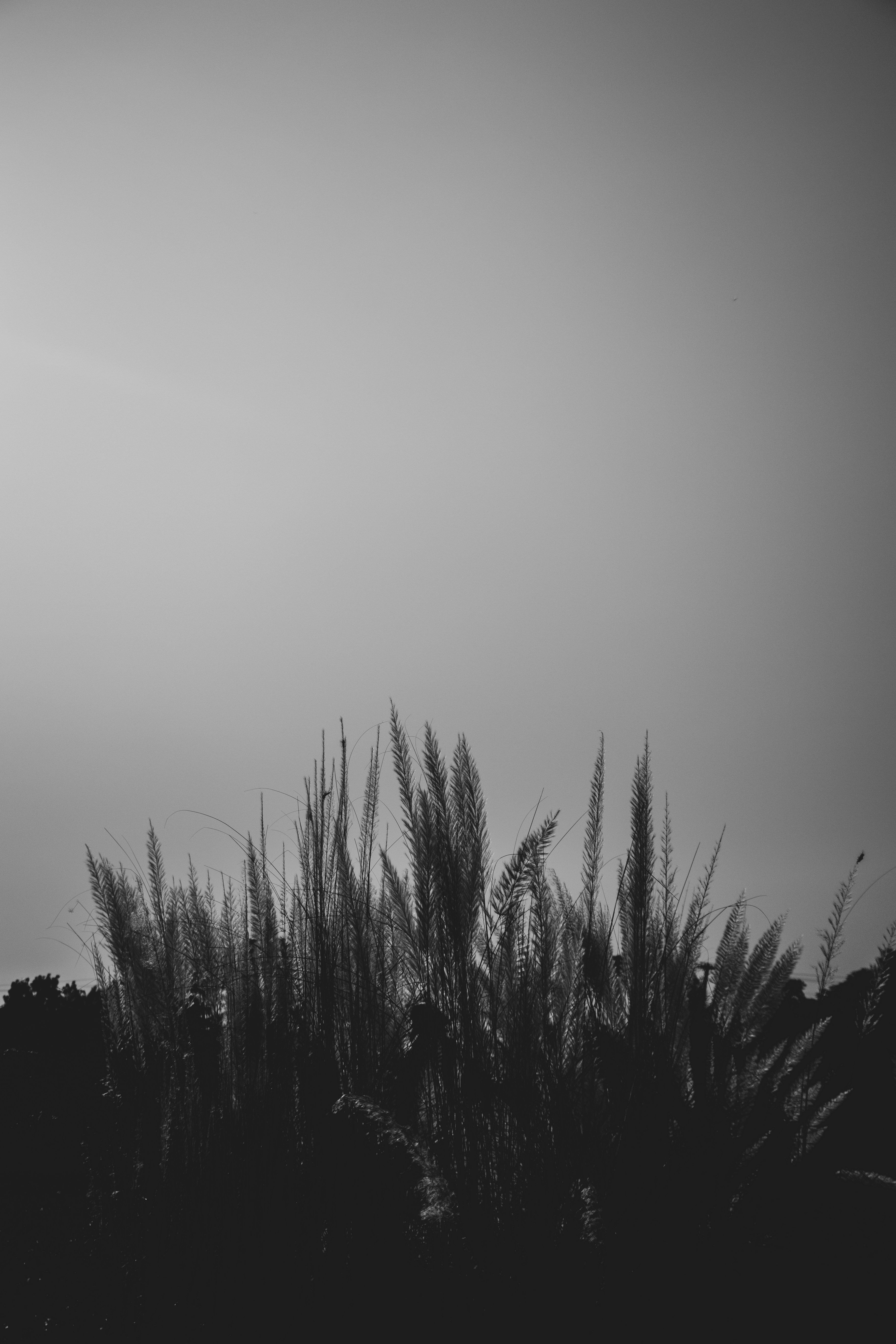 Photo by azmainmahmud