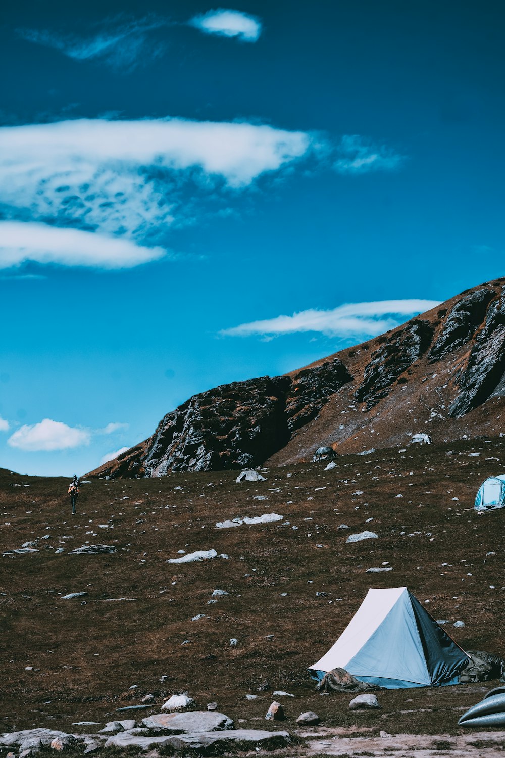 a white tent sitting on top of a grass covered field