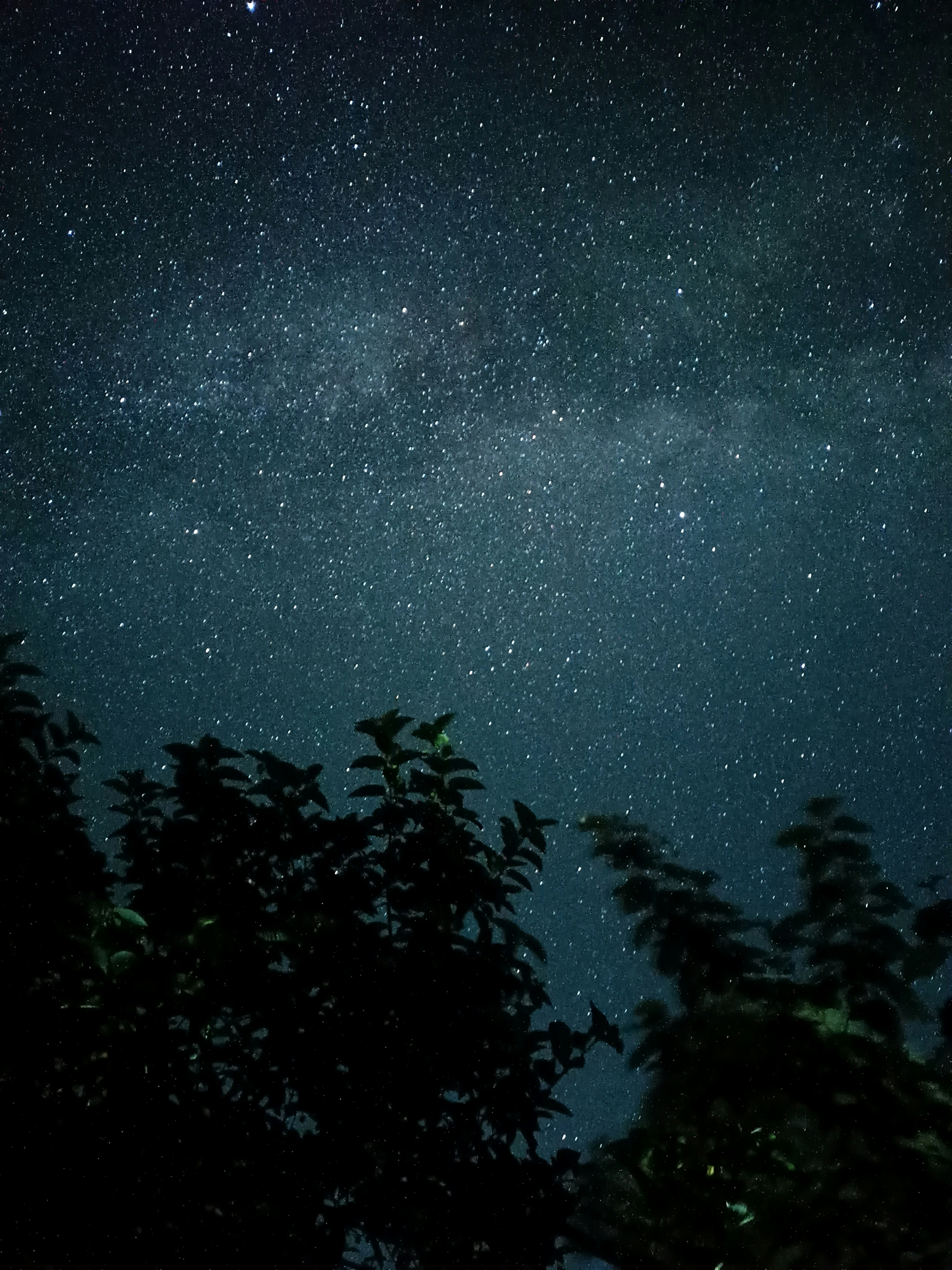 Photo by samiubashir