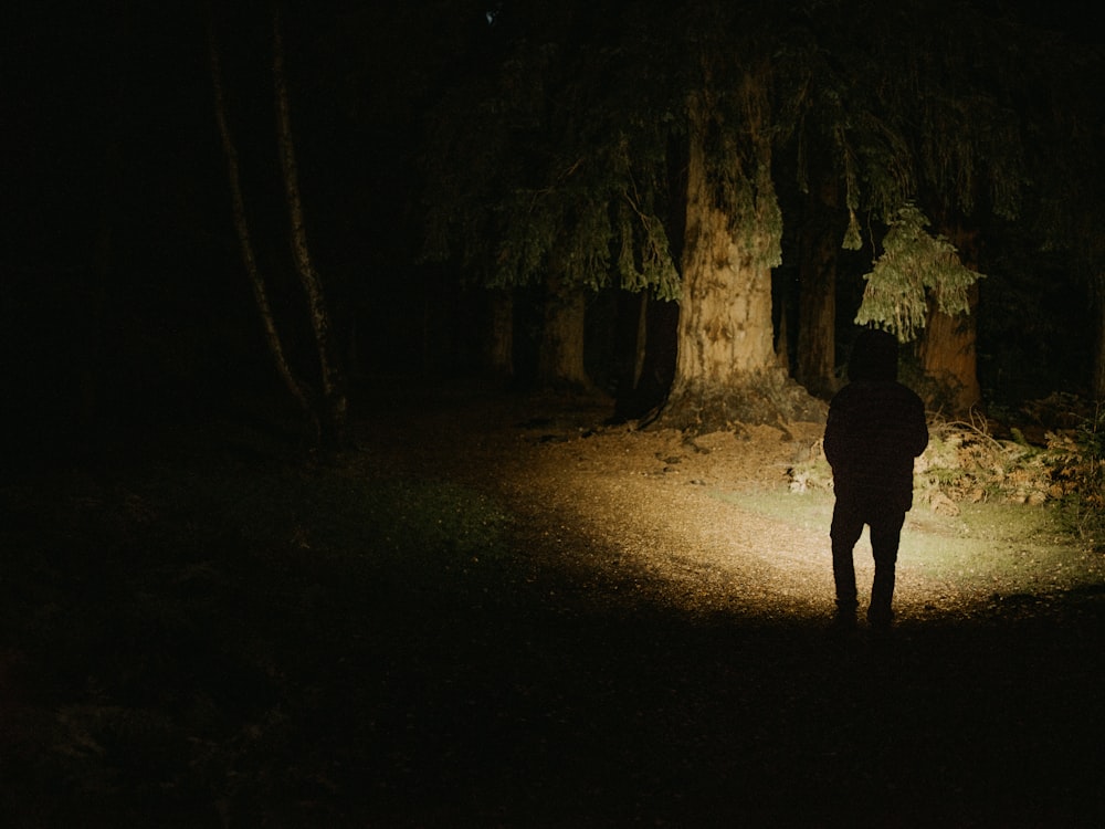 uma pessoa de pé no escuro na floresta