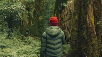 a person in a red hat is walking through the woods