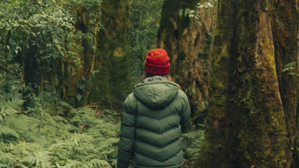 a person in a red hat is walking through the woods