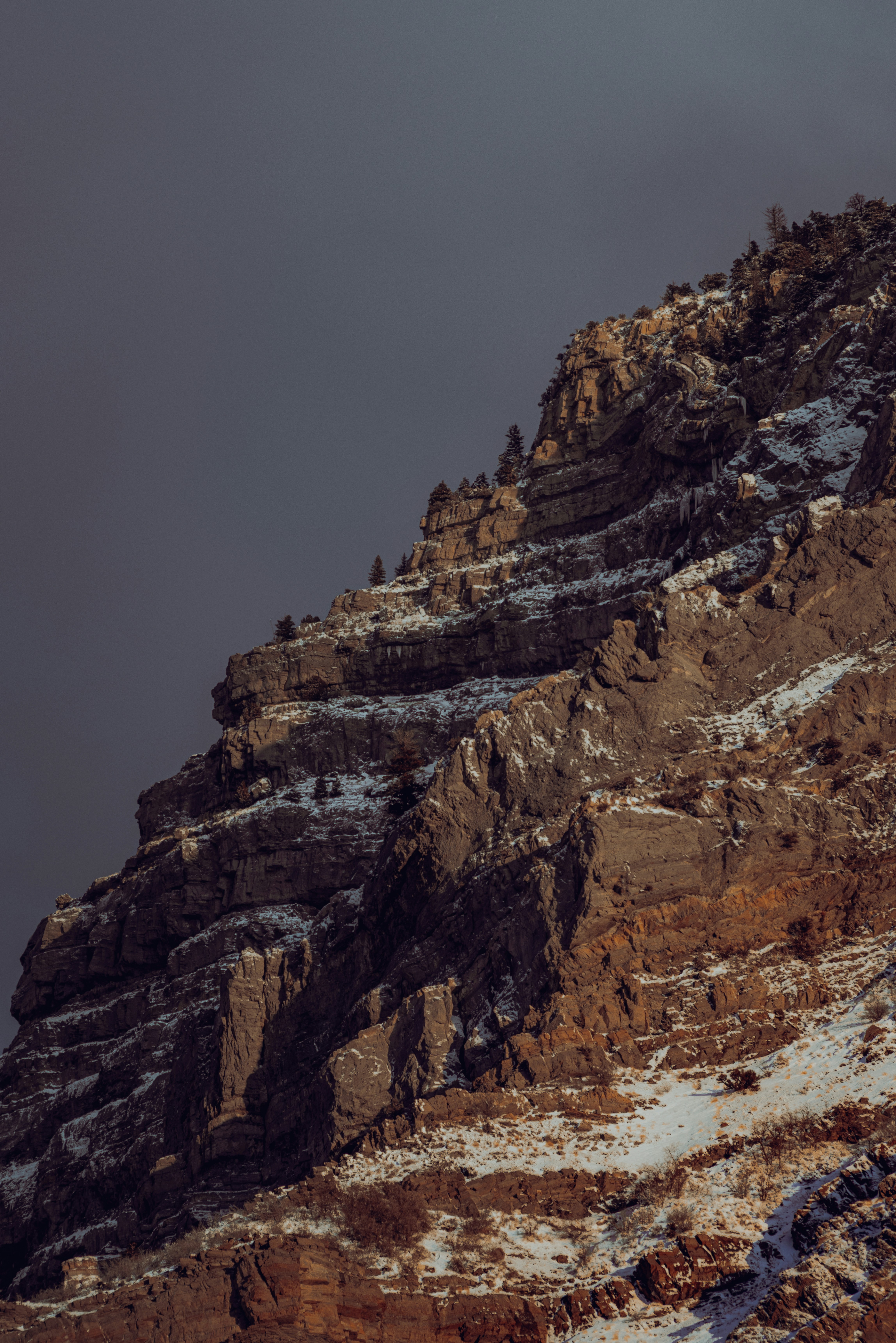 Photo by kalaniparker