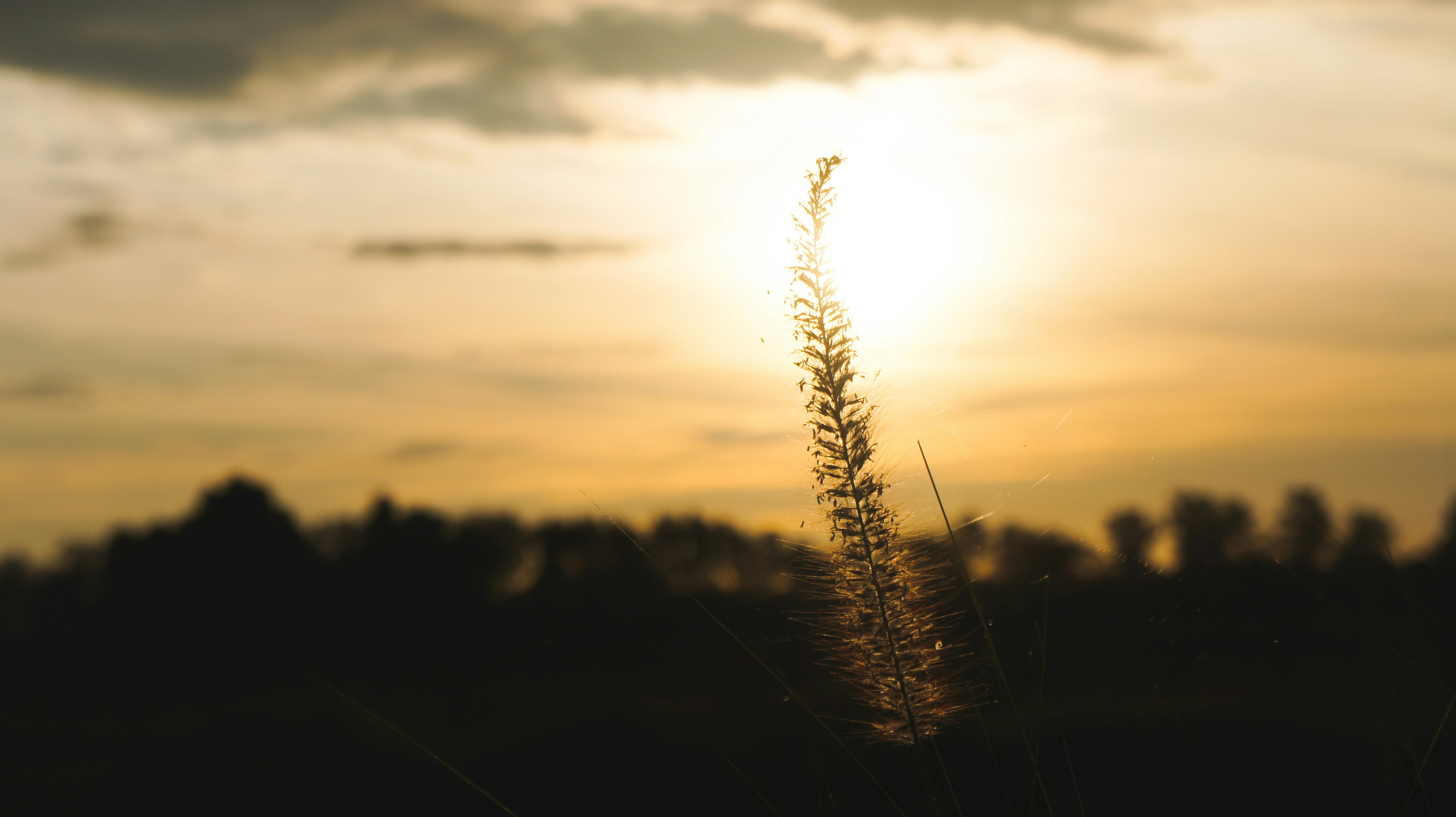 Photo by pabloeliseo791