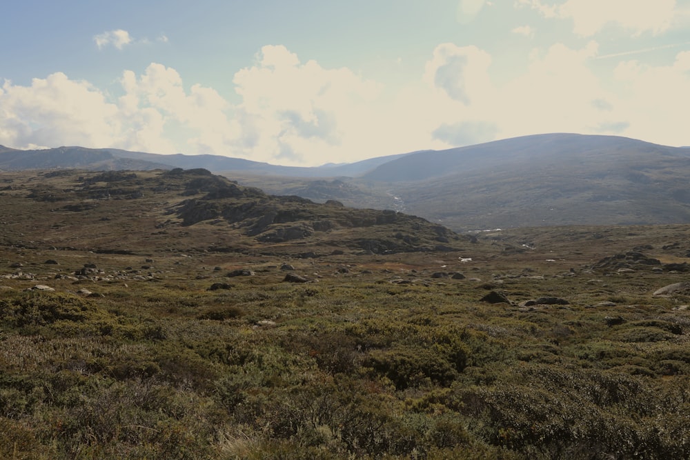 a grassy field with mountains in the background