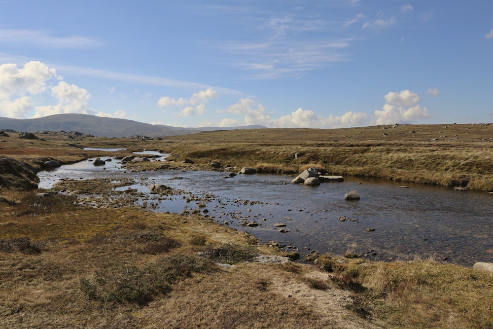 a small stream running through a dry grass field